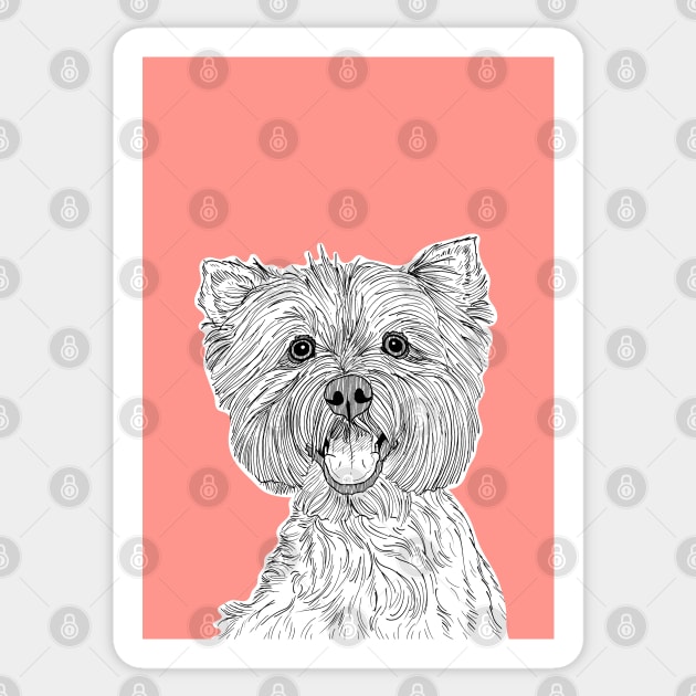 West Highland Terrier Dog Portrait ( coral background ) Sticker by AdamRegester